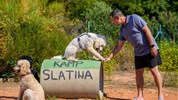 Kamp Slatina (Glamping šator), Otok Cres, Hrvatska - Kemp Slatina, Cres, Chorvatsko